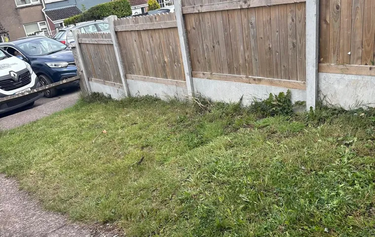 A front lawn after a garden clear-out